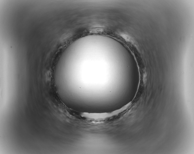 X0000086901445200704301007