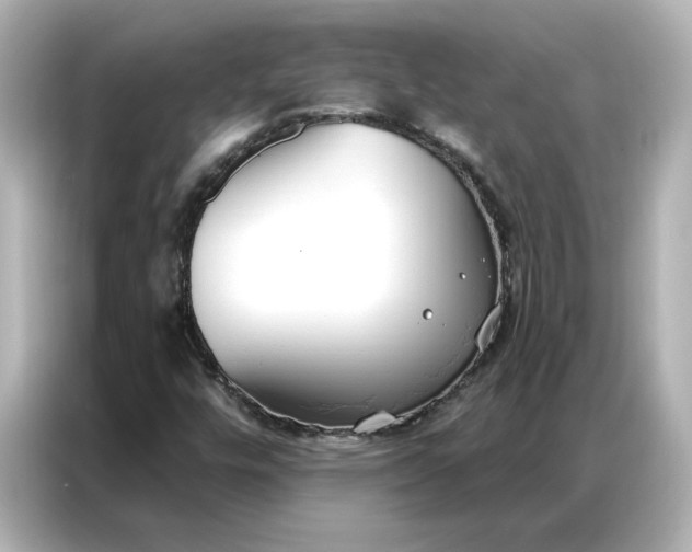 X0000086901448200704301007