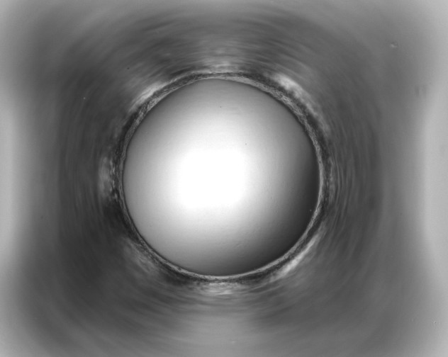 X0000086901449200704301007