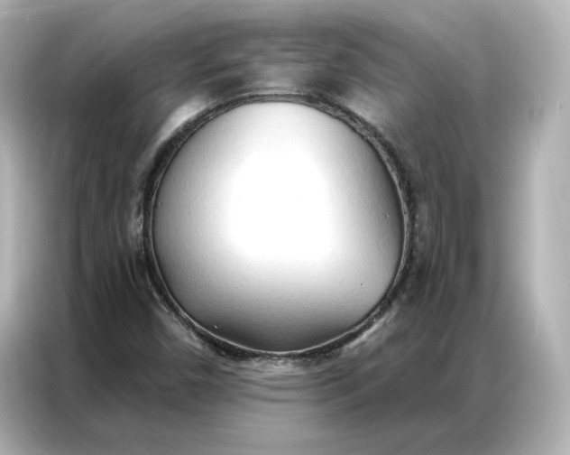 X0000086901450200704301007