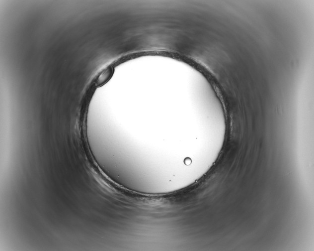 X0000086901452200704301007