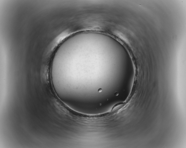 X0000086901455200704301007