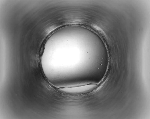 X0000086901457200704301007