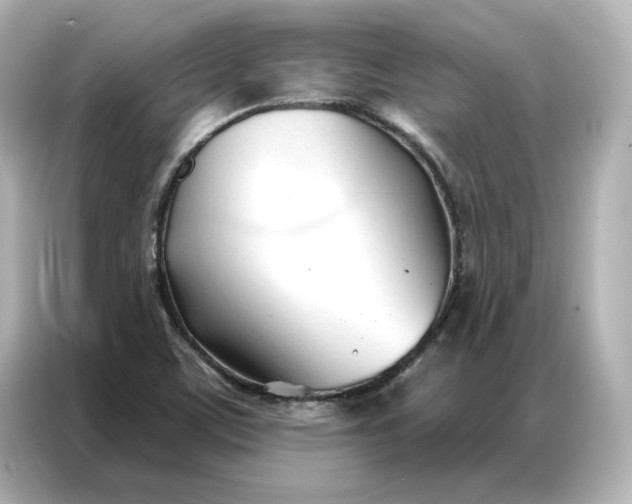 X0000086901459200704301007