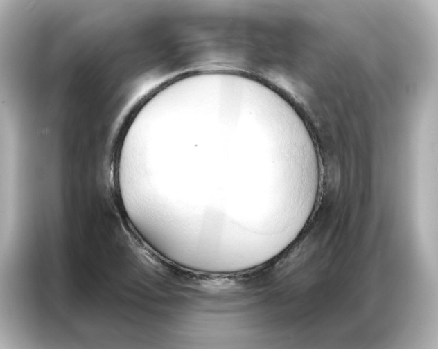 X0000086901462200704301007