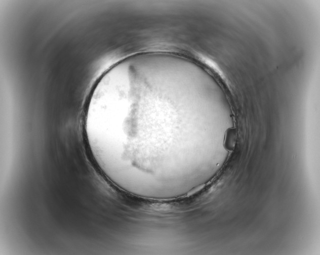 X0000086901463200704301007