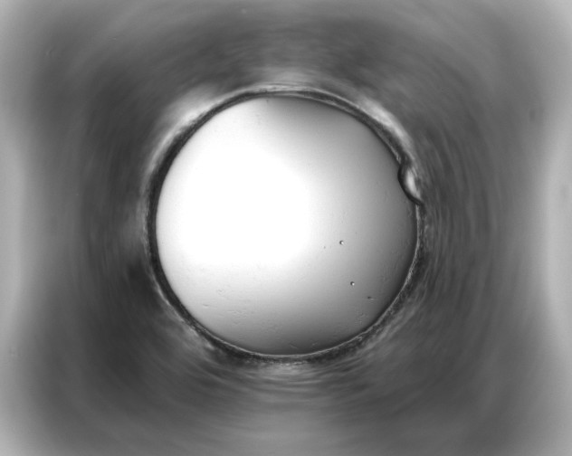 X0000086901464200704301007