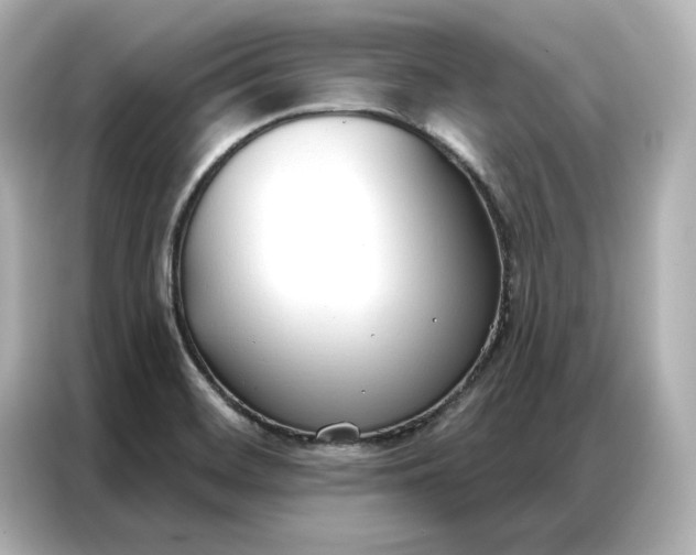 X0000086901468200704301007