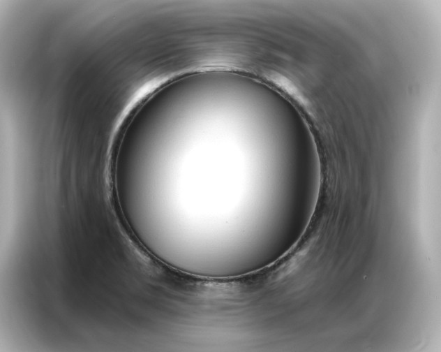 X0000086901469200704301007