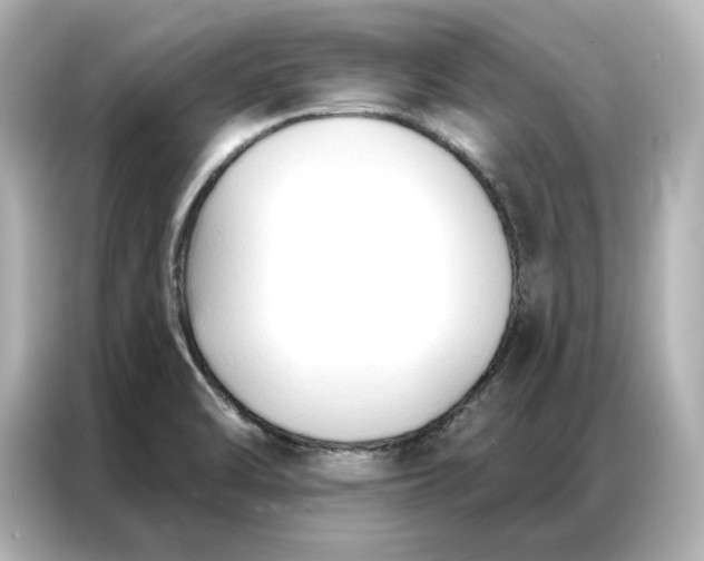 X0000086901470200704301007