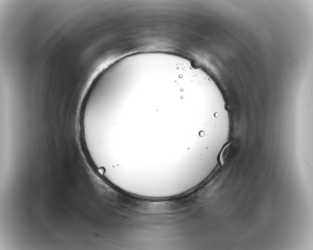 X0000086901471200704301007