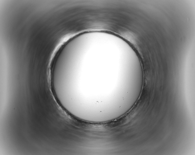 X0000086901472200704301007