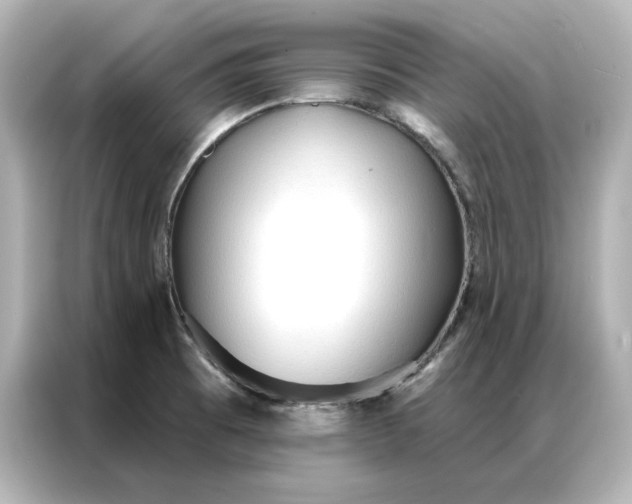 X0000086901473200704301007