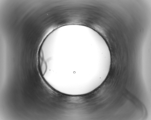 X0000086901479200704301007