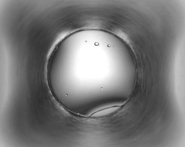 X0000086901480200704301007