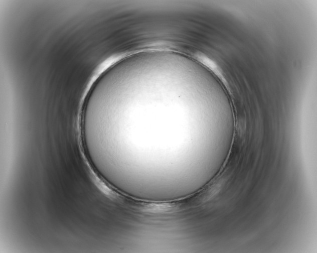 X0000086901482200704301007