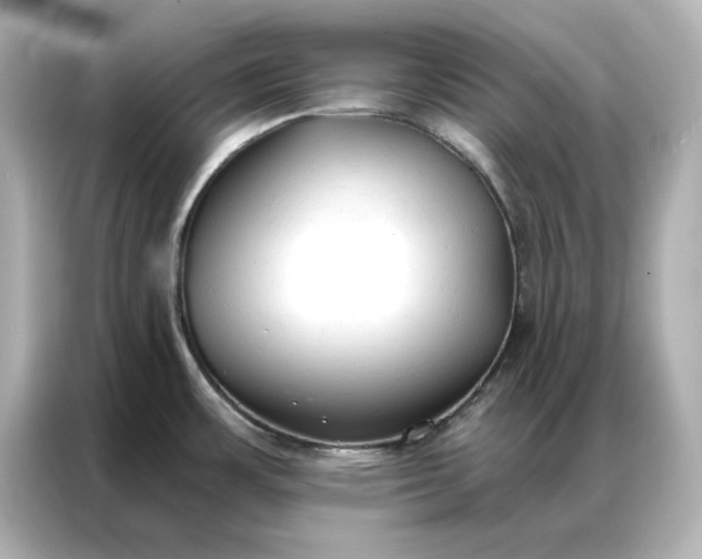 X0000086901483200704301007