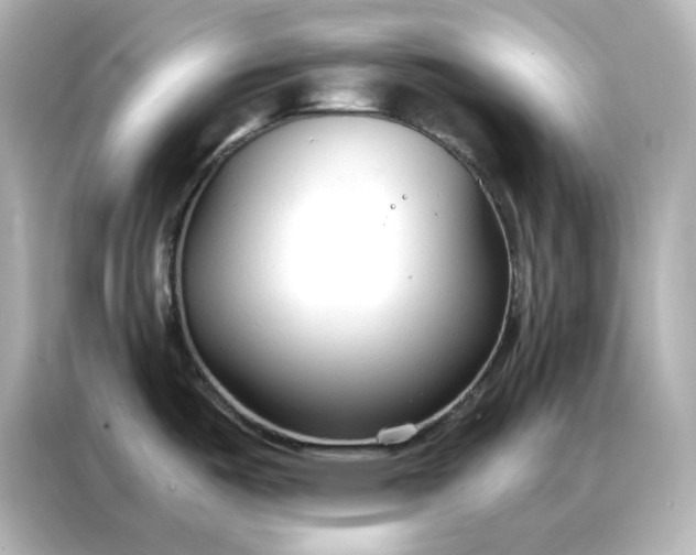 X0000086901487200704301007