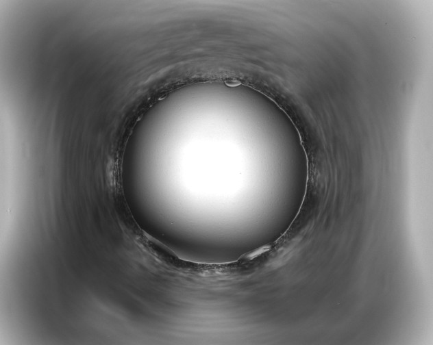 X0000086901490200704301006