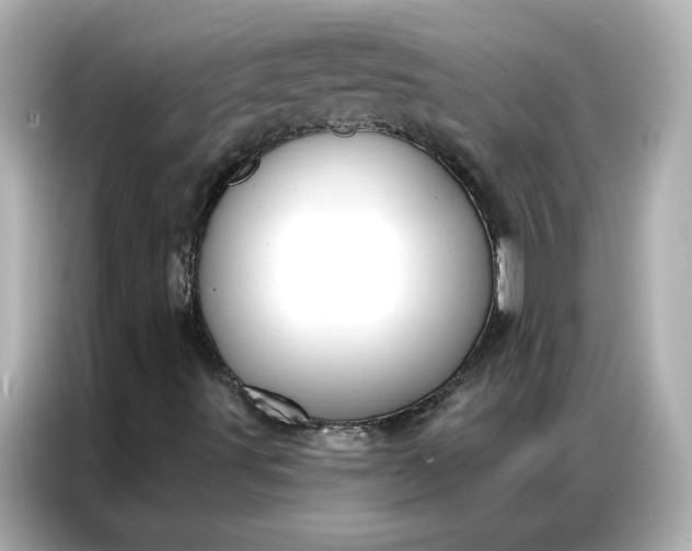 X0000086901491200704301006