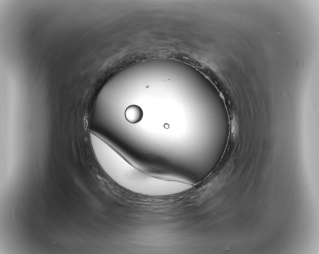 X0000086901492200704301006