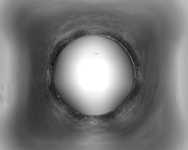 X0000086901493200704301006