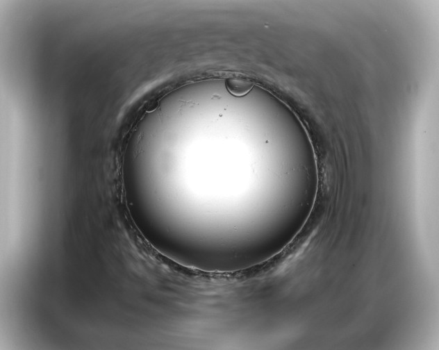 X0000086901494200704301006