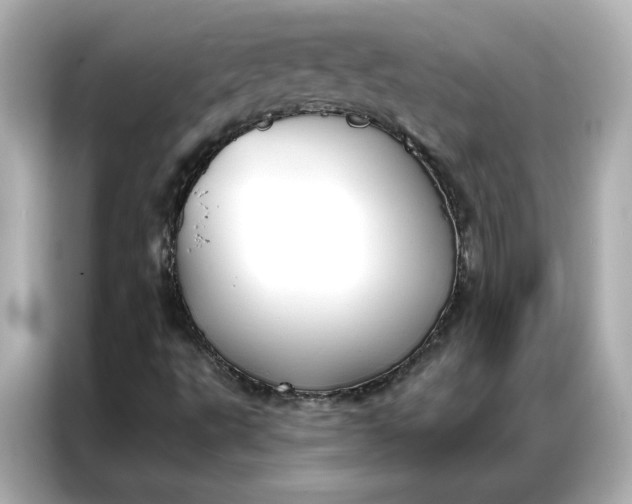 X0000086901495200704301006