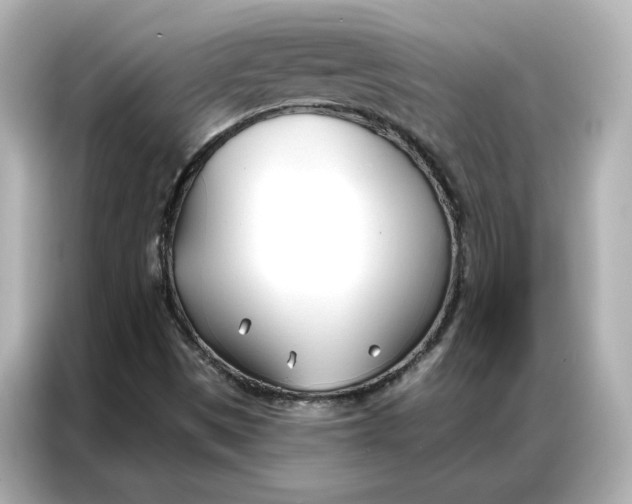 X0000086901497200704301006