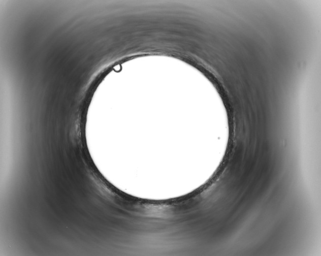 X0000086901498200704301006