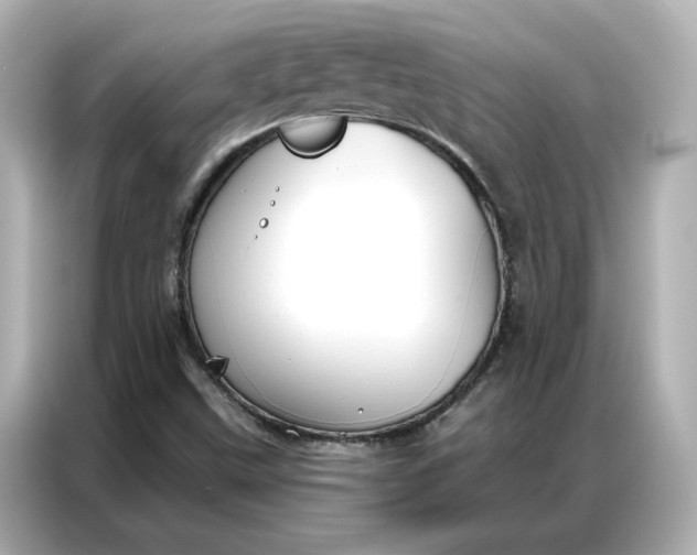 X0000086901499200704301006