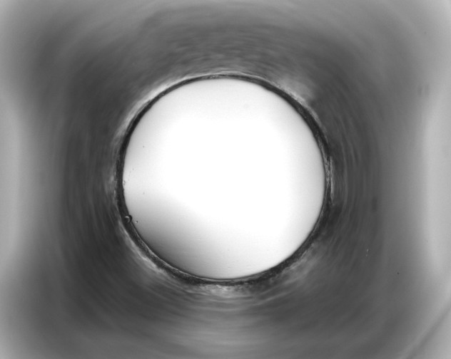 X0000086901500200704301006