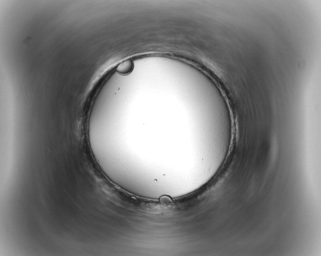 X0000086901501200704301006