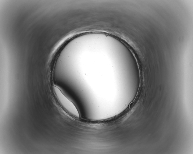 X0000086901502200704301006