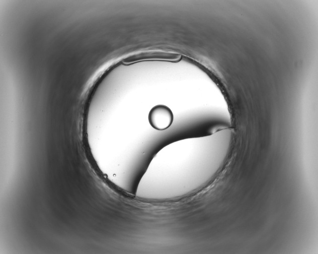 X0000086901504200704301006