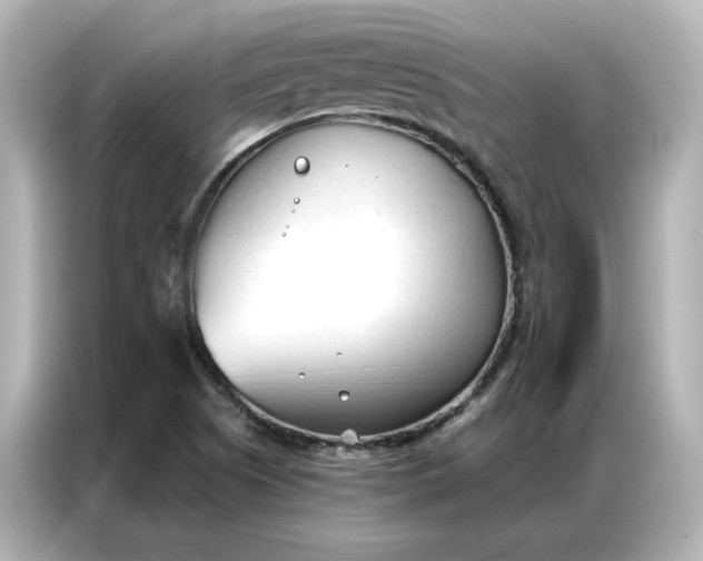 X0000086901505200704301006