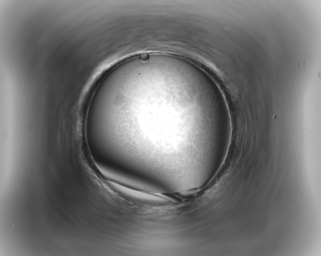 X0000086901506200704301006