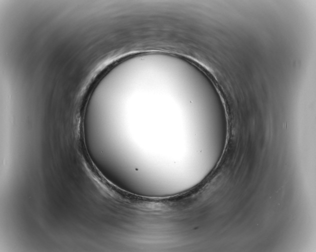 X0000086901507200704301006