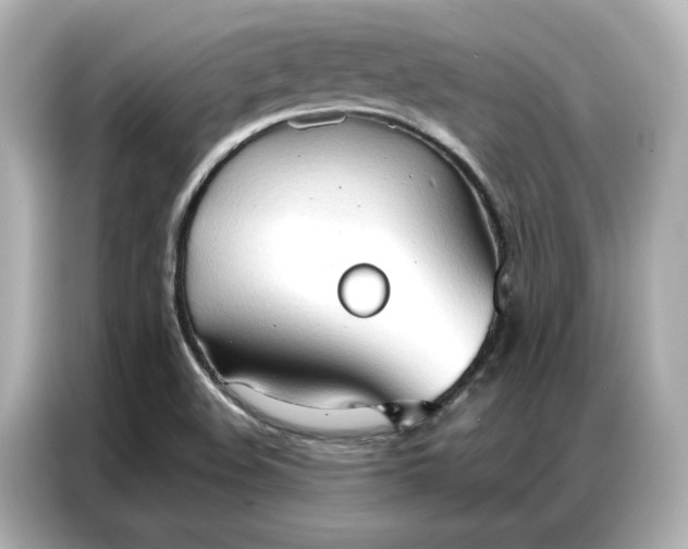 X0000086901508200704301006