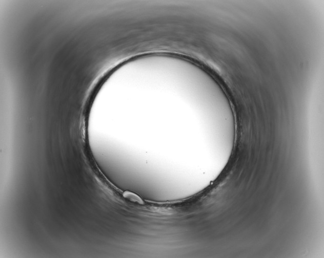 X0000086901509200704301006