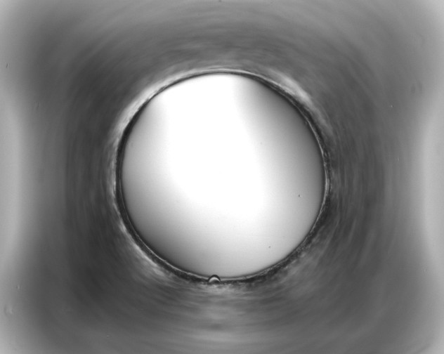 X0000086901512200704301007