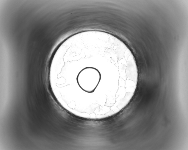 X0000086901514200704301007