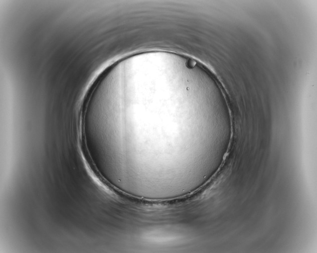 X0000086901515200704301007