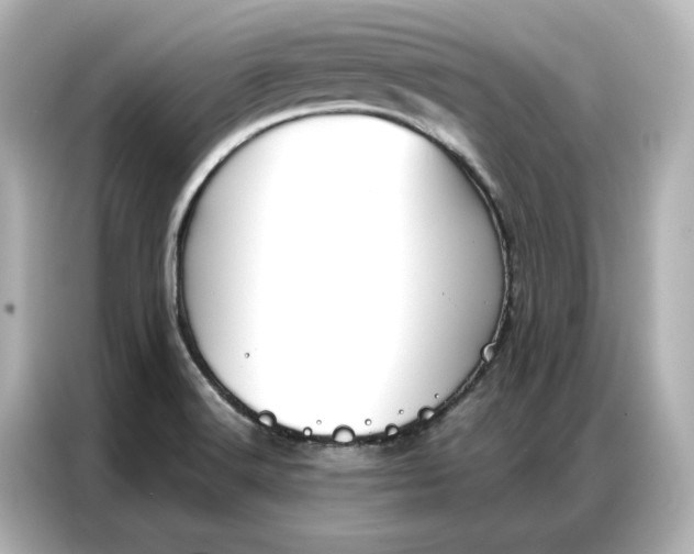 X0000086901516200704301007