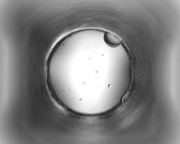 X0000086901519200704301007