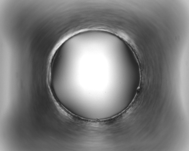 X0000086901520200704301007