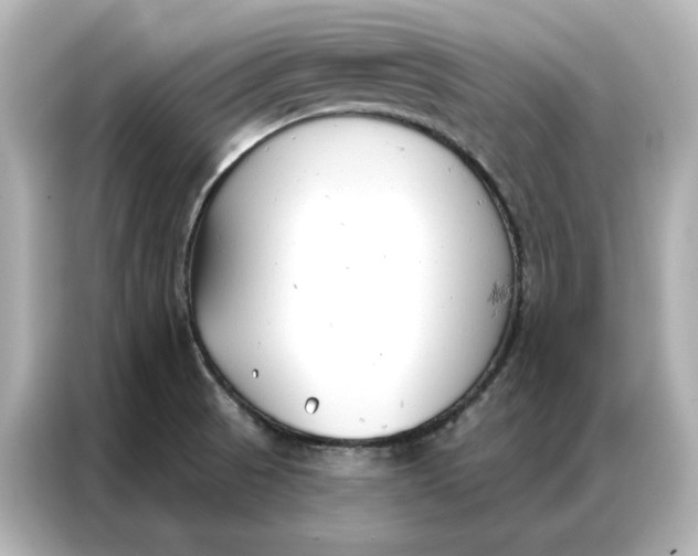 X0000086901521200704301007