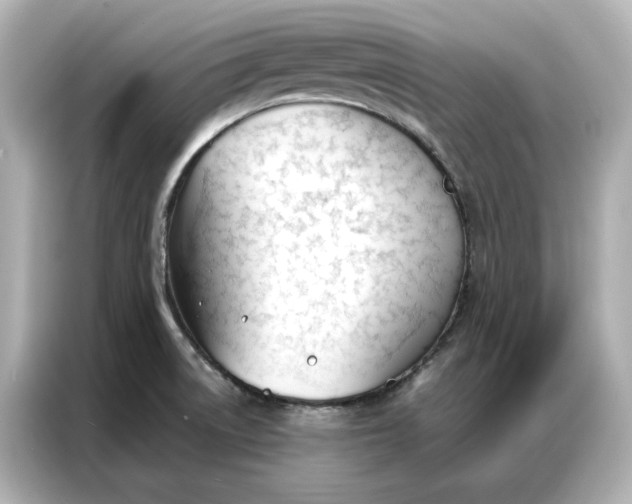 X0000086901522200704301007