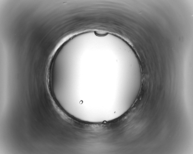 X0000086901523200704301007