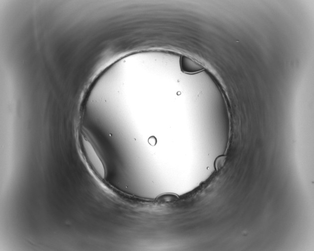 X0000086901525200704301007